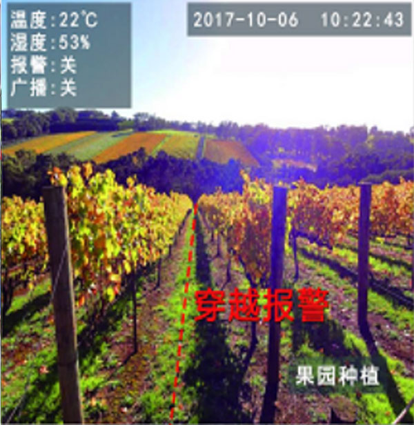 克孜勒苏柯尔克孜自动播报摄像机-果园防盗